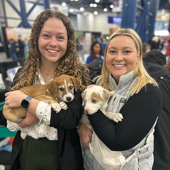 Employees at our Puppy Park