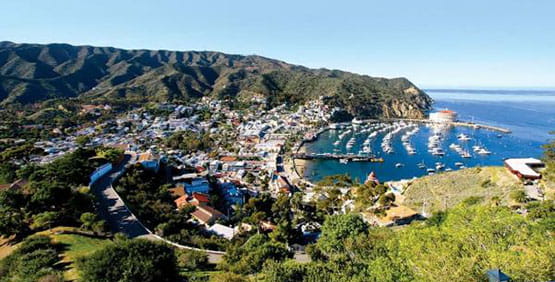 Catalina Island near Anaheim